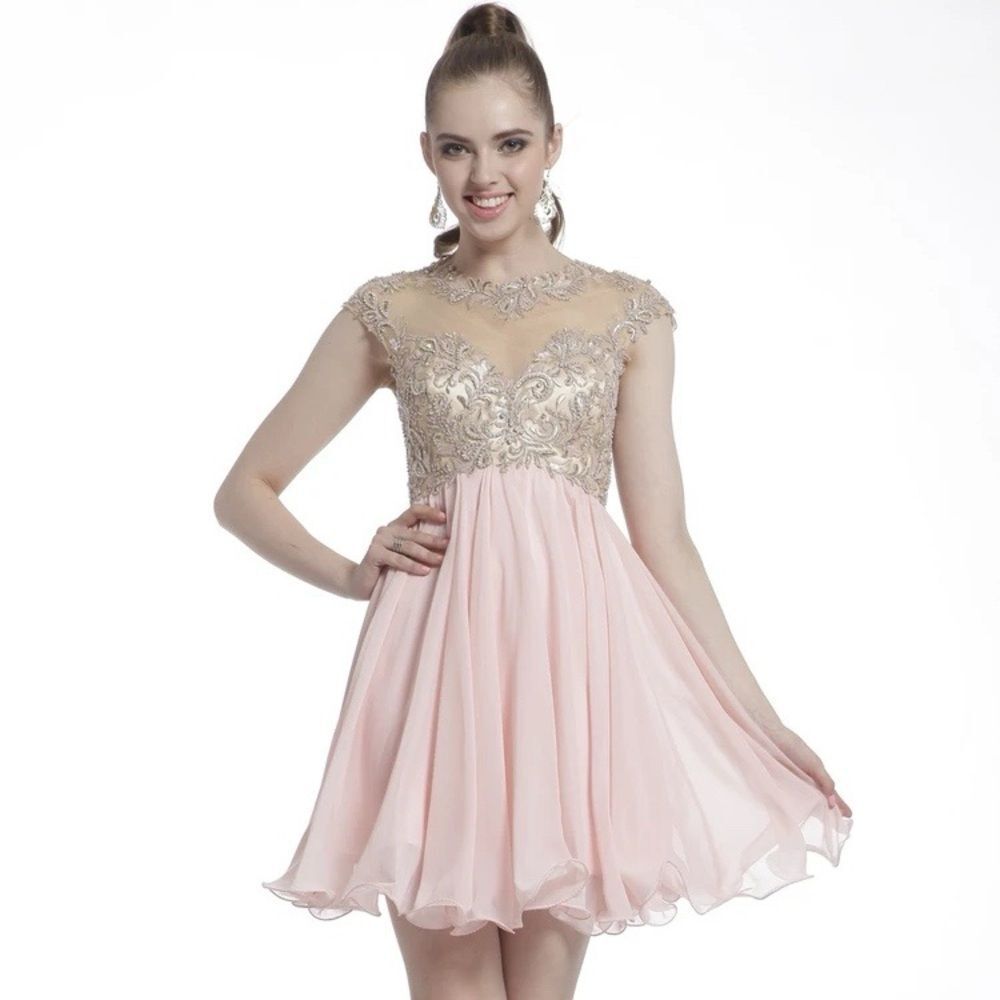 Cinderella Devine Pink Blush Short Embellished A line Chiffon Dress Sz 6